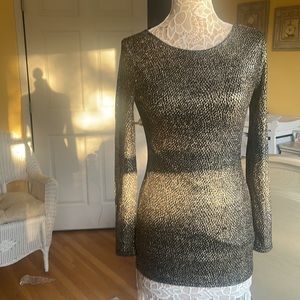 NWOT Cache dress or long shirt